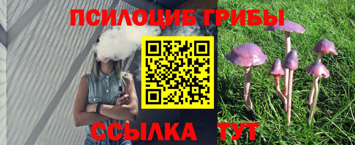 Псилоцибиновые грибы мицелий Лянтор